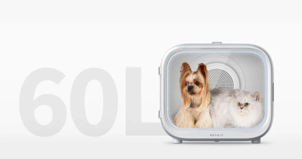 Petkit AirSalon Max Pro