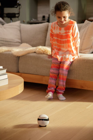 Enabot EBO Air, Home Security Pet Camera